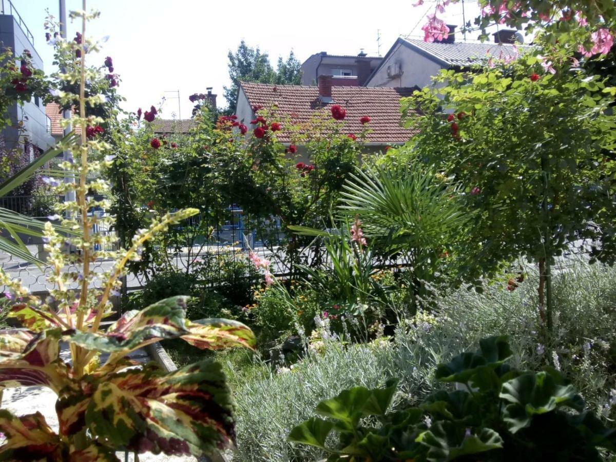 Apartman Teuta Zagreb Buitenkant foto