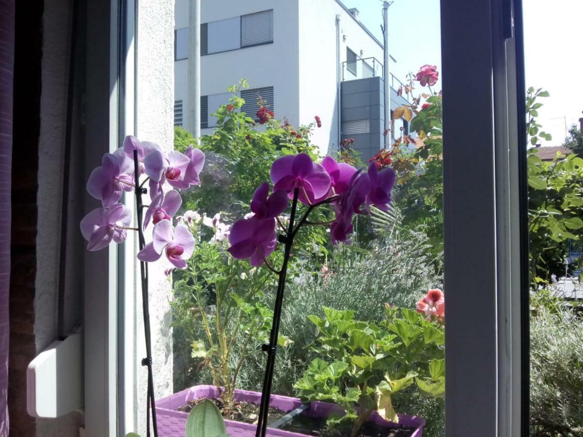 Apartman Teuta Zagreb Buitenkant foto