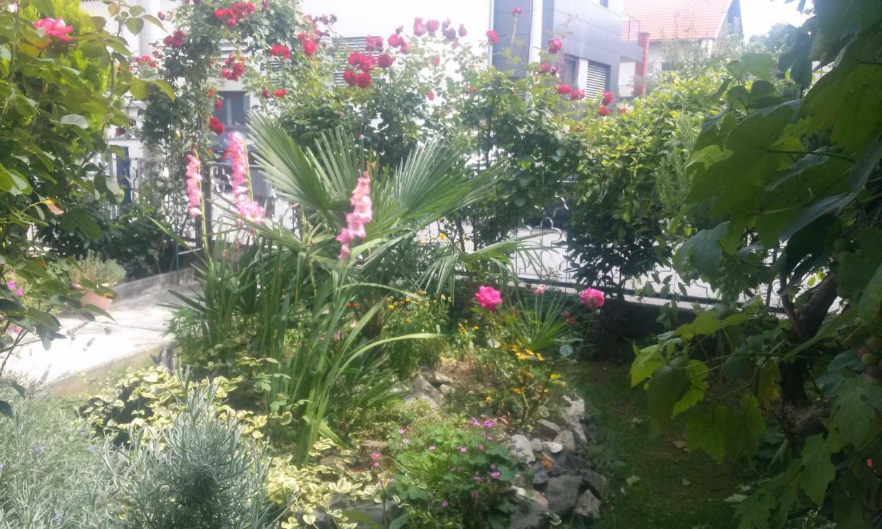 Apartman Teuta Zagreb Buitenkant foto