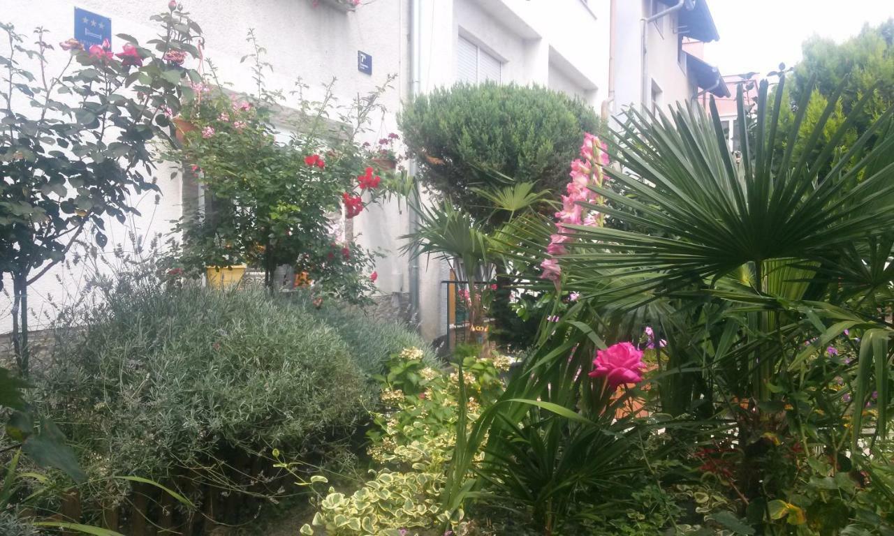 Apartman Teuta Zagreb Buitenkant foto